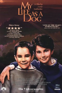 Постер: Моя собачья жизнь