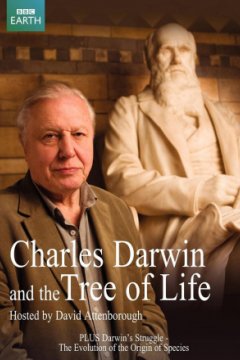 Постер: Чарльз Дарвин и Древо жизни
