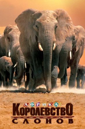 Постер к фильму Африка – королевство слонов