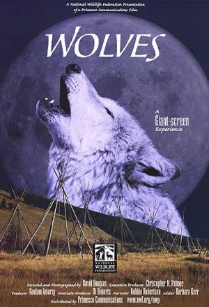 Постер к фильму Волки